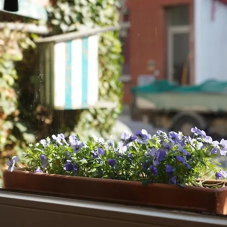 Renovated Appt In 20min From Bruges Lägenhet *