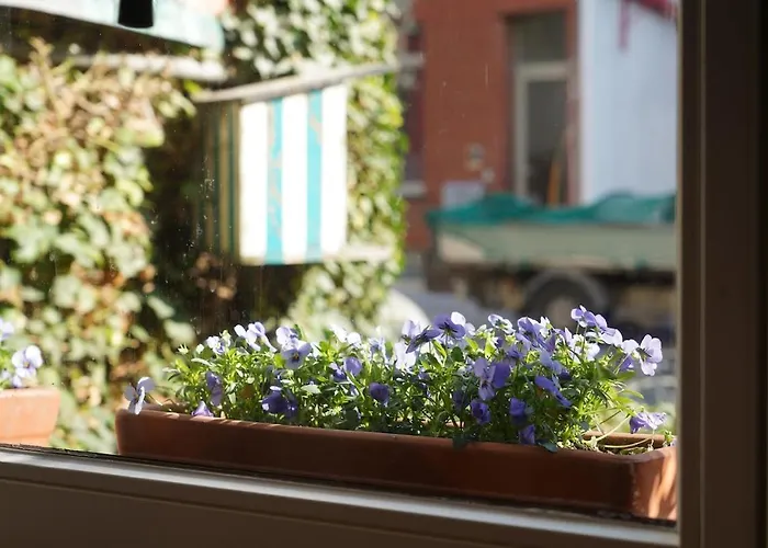 Renovated Appt In 20min From Bruges 公寓 *