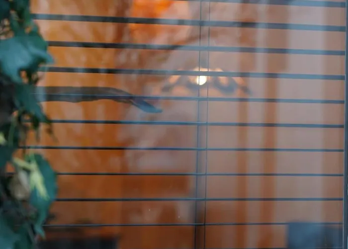 Renovated Appt In 20min From Bruges 公寓 *