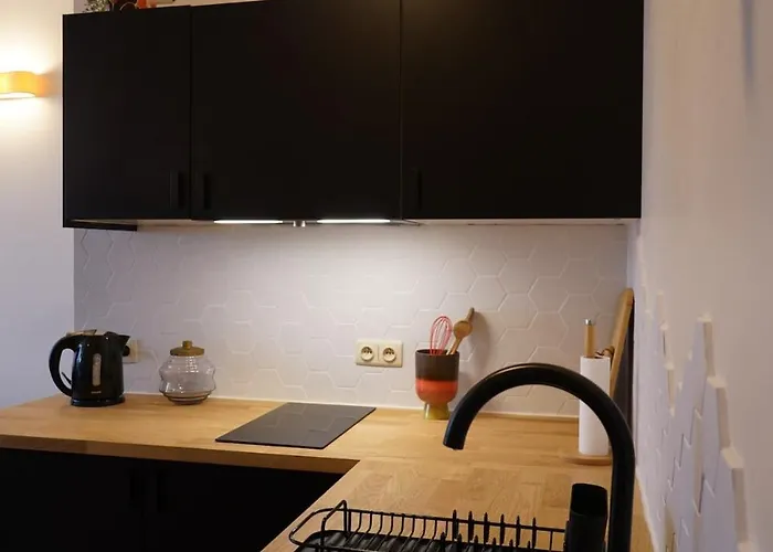 公寓 Renovated Appt In 20min From Bruges 奥斯滕德